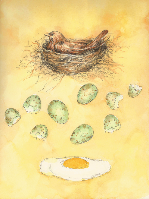 Bird with eggs